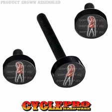 Black Billet Fairing Windshield Hardware Kit 14-Up Harley Touring - TATTOO GIRL