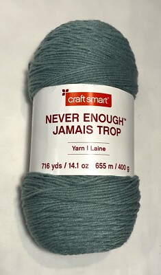 Craft Smart Never Enough Yarn Color Seafoam Green  716 yds 14.1 oz Acrylic