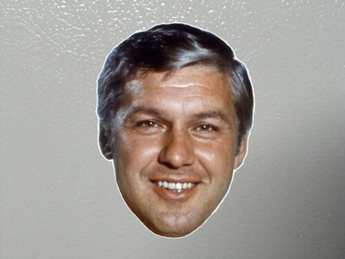 NHL ALEX DELVECCHIO DETROIT RED WINGS KÜHLSCHRANKMAGNET HOCKEY MAGNET AUTOKÜHLSCHRANK 2X2 - Bild 1 von 2