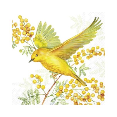 Joy of Spring Yellow Bird IHR Papier Cocktail Servietten 25 cm 20er Pack 3-lagig