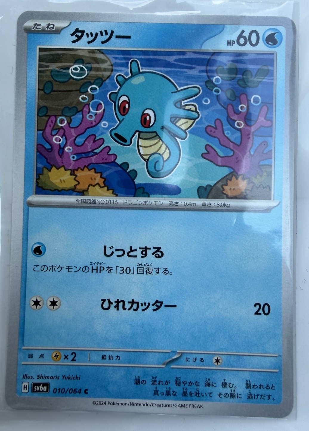 Horsea (JP) Pokemon • Common • 010/064 Night Wanderer