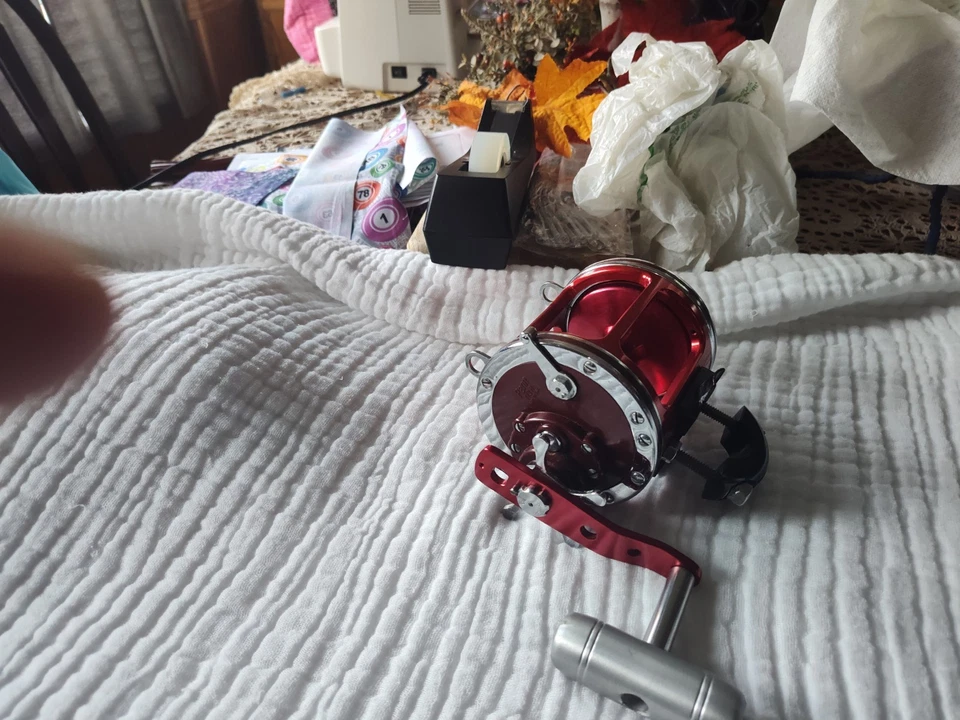 Penn/Tiburon Foto 3 de 4