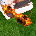 Bild 11 von 12
