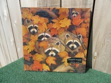 Brand New Springbok Roving Rascals Raccoon 500 Piece Jigsaw Puzzle 20" x 20"