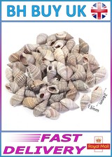 40g AQUARIUM SNAIL SHELLS DECORATION CRAFTS HERMIT CRAB MARINE FISH TANK (ZA03)
