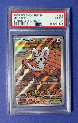 Minccino 152/086 Sv: Black Bolt Holo for sale online | eBay