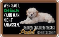 Blechschild 12X18 Cm GlüCk Nicht Anfassen Pudel Hund Spruch Zitat Deko Geschenk