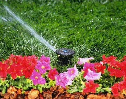 Rain Bird MINI-PAW/LG-3 Plastic On Ground Adjustable Impulse Sprinkler H 3" - Picture 6 of 7