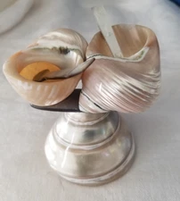 Antique Double Polished Sea Shell Pedestal Open Salt With Spoons