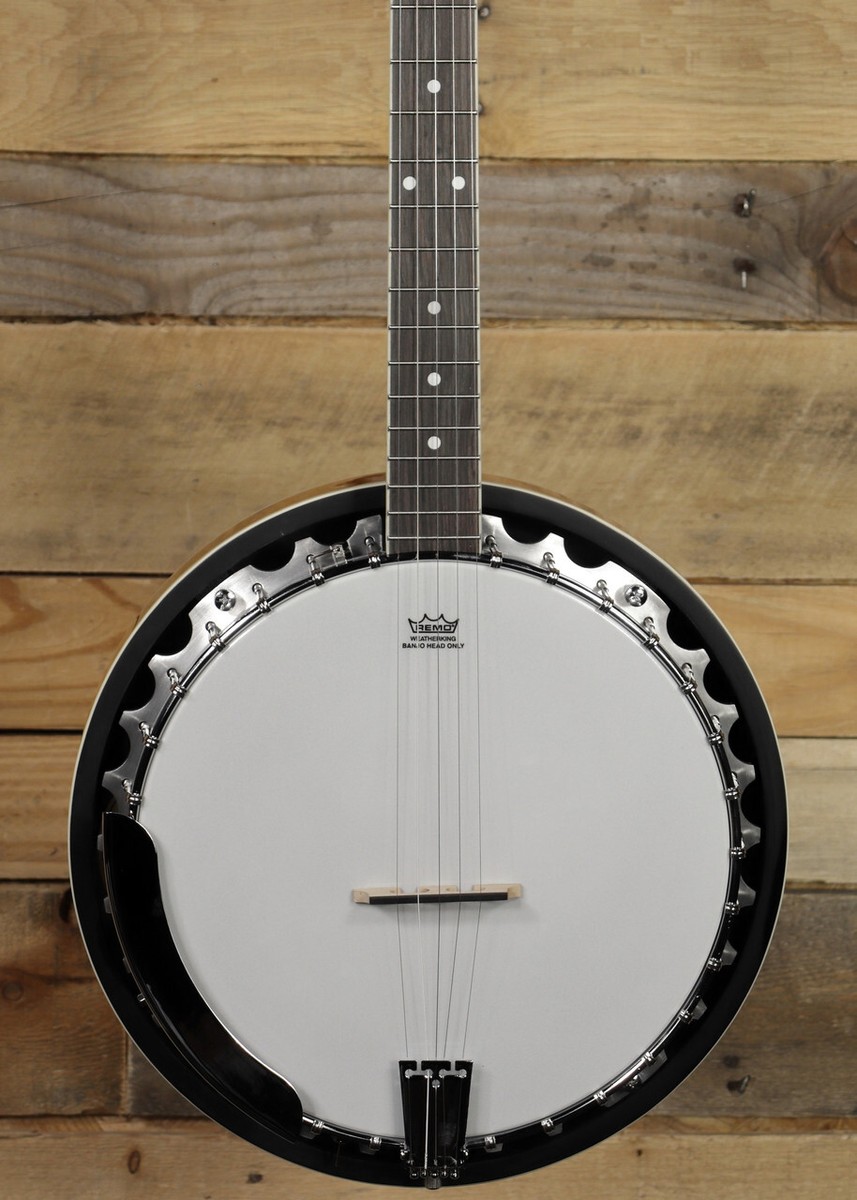 バンジョー washburn B-9