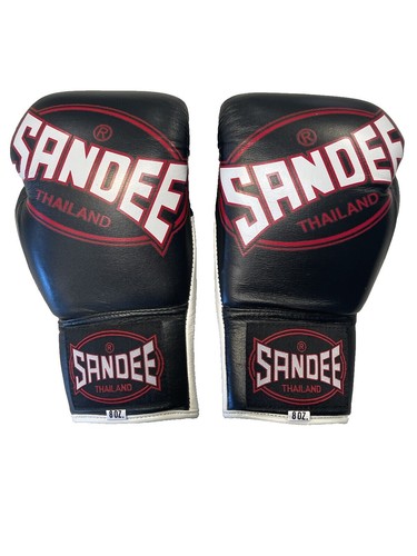 ショヨロール BORN X RAISED SPARRING GLOVES BORN X RAISED + SHOYOROLL BOXING GLOVES: BLACK | eBay
