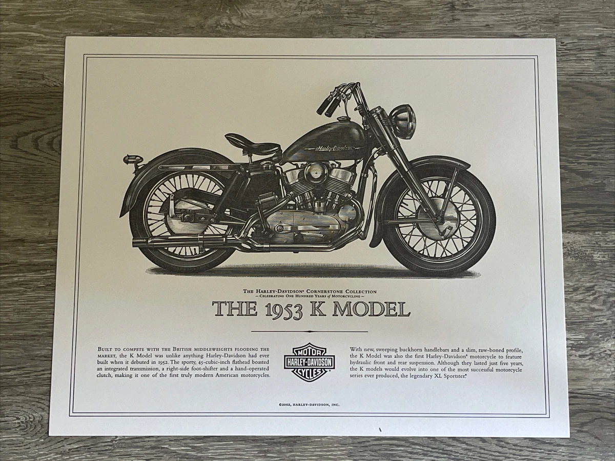 16x20 2024 poster print