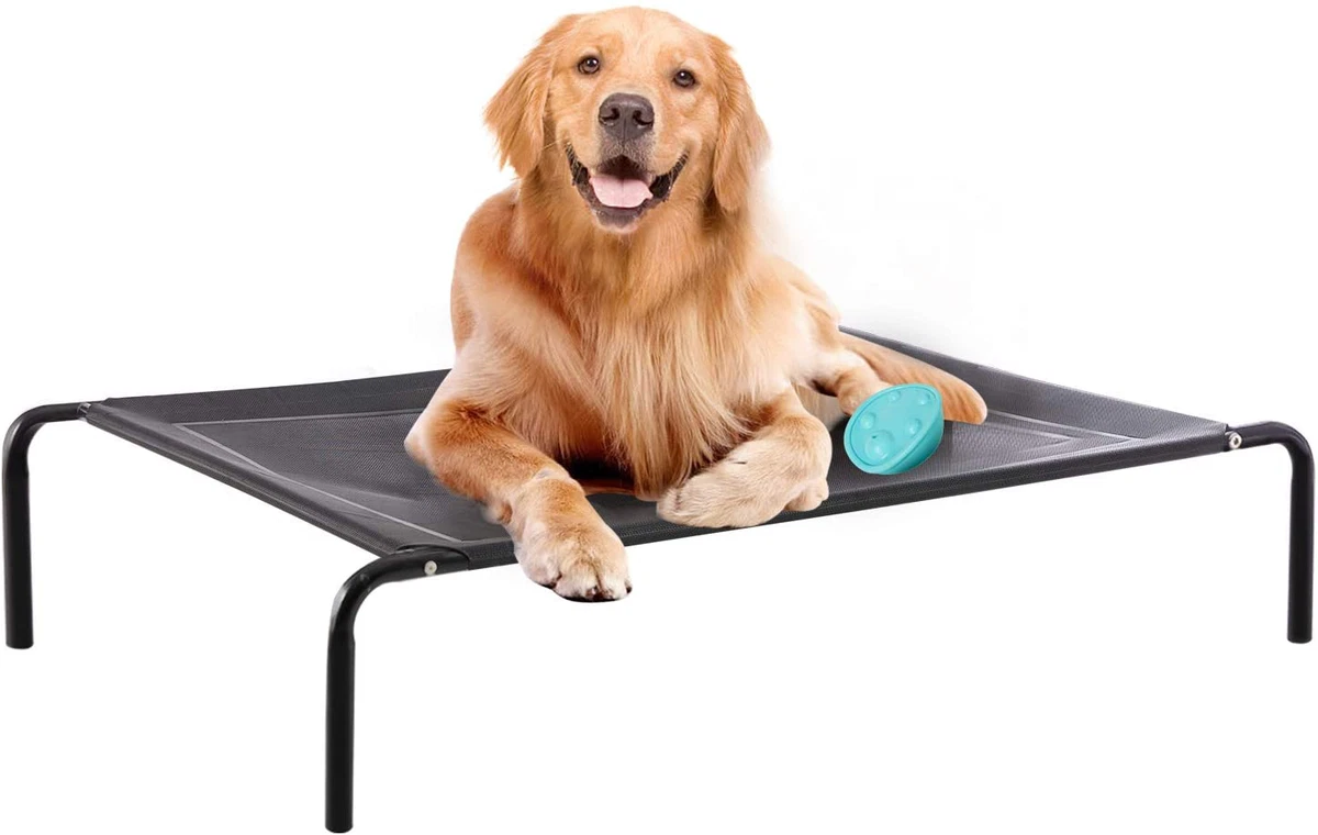 Ebay raised top dog bed