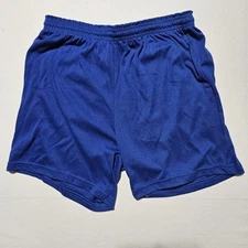 Vintage Blue Don Alleson Athletic Gym Shorts All Size L