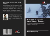 Mandy Adegboyega | Sviluppo Di Capacità Negli Appalti Pubblici | Taschenbuch