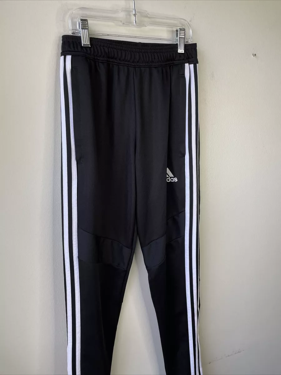 Adidas Team 19 Track Pant Women — Pro Sport Clothing Company - Grande  Prairie, AB