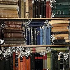 Vintage Book Lot | Mystery Colors | Antique Bookshelf Decor | Photo Staging Prop