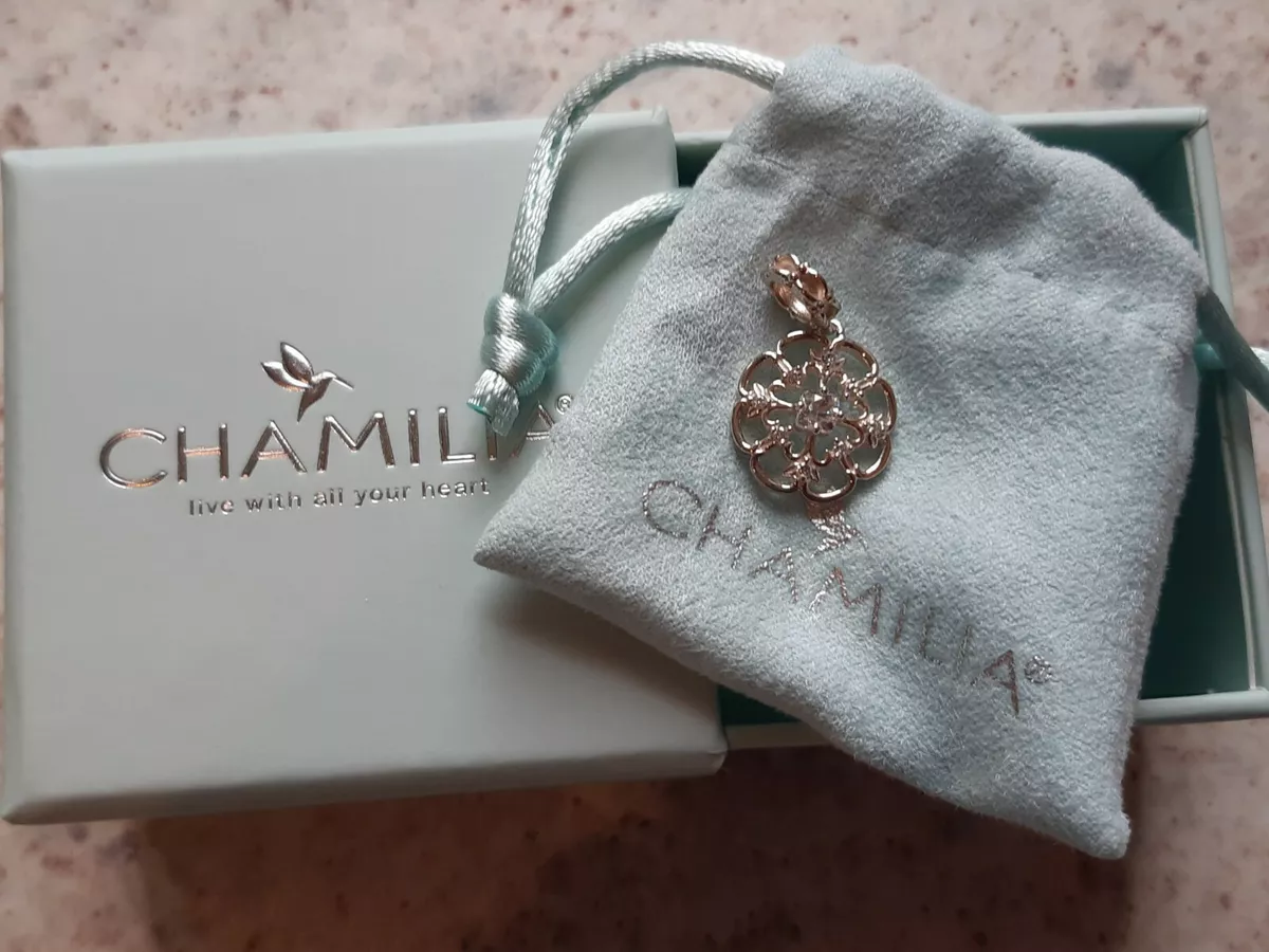 Ebay store chamilia charms
