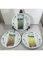 Italian Rosanna Scenic Plates Set of 3