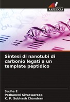 Sudha E (U. A.) | Sintesi Di Nanotubi Di Carbonio Legati A Un Template Peptidico