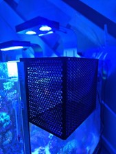 Mushroom / Anemone / Coral Frag 3d Printed Basket (ABS BLACK)