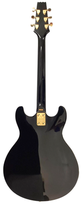 Aria ProⅡ Vintage Semi-Hollow Guitar TA-03 Black | eBay