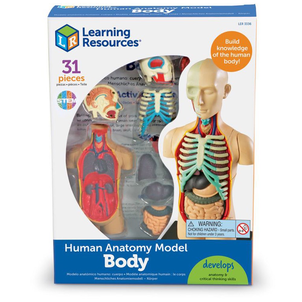 Learning Resources Human Body Anatomy Model Educational Set