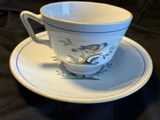Spode Queen’s Bird Tea Cup & Saucer Y-4973 Made In England