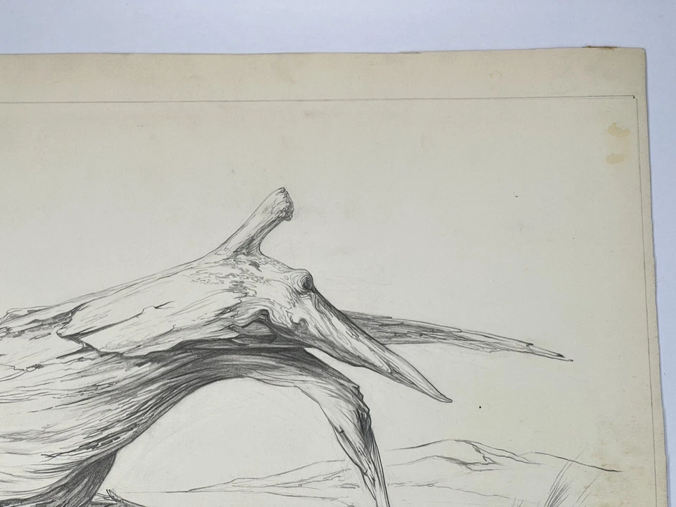 "Arte James Merrick de colección dibujo surrealista madera a la deriva flotante en el desierto 11x14""" Foto 4 de 4