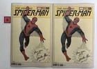 The Amazing Spider Man # 75 Steve Ditko 1:50 Color  Hidden Gem Marvel Lot Of 2