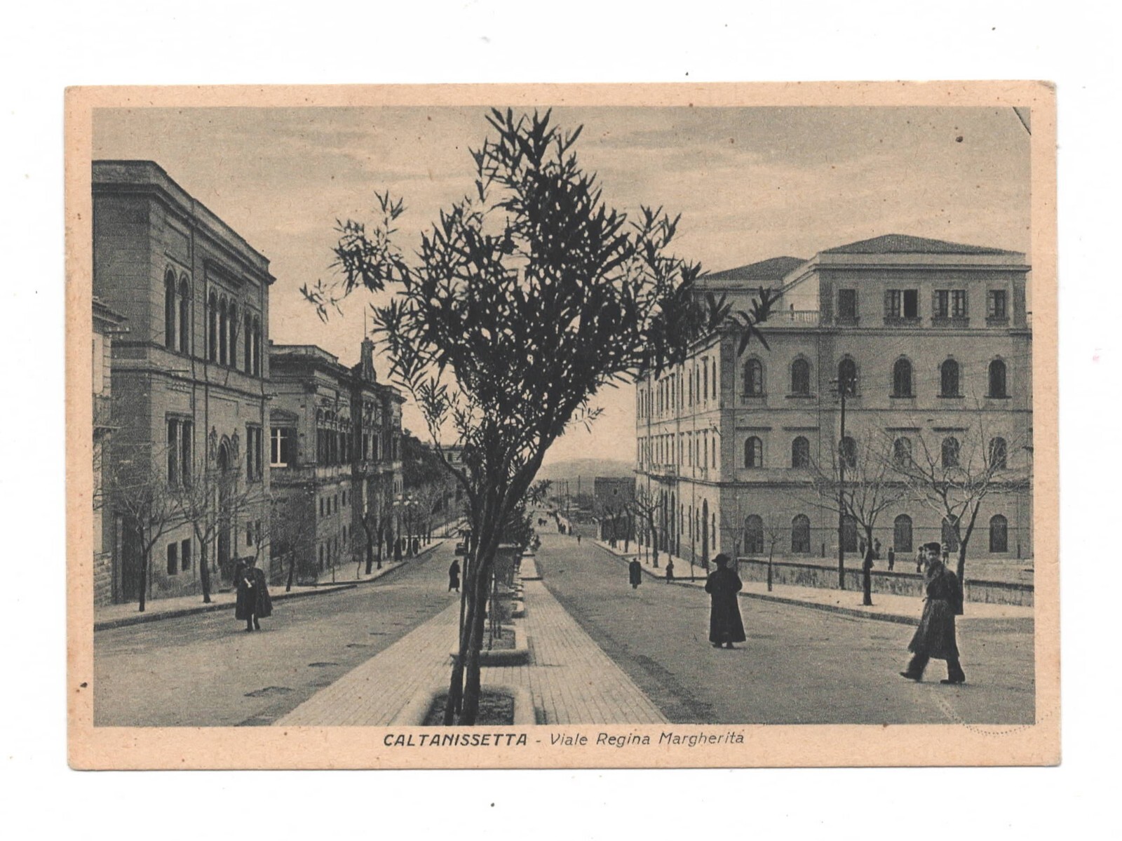 CALTANISSETTA VIALE REGINA MARGHERITA CARTOLINA NON VIAGGIATA FG