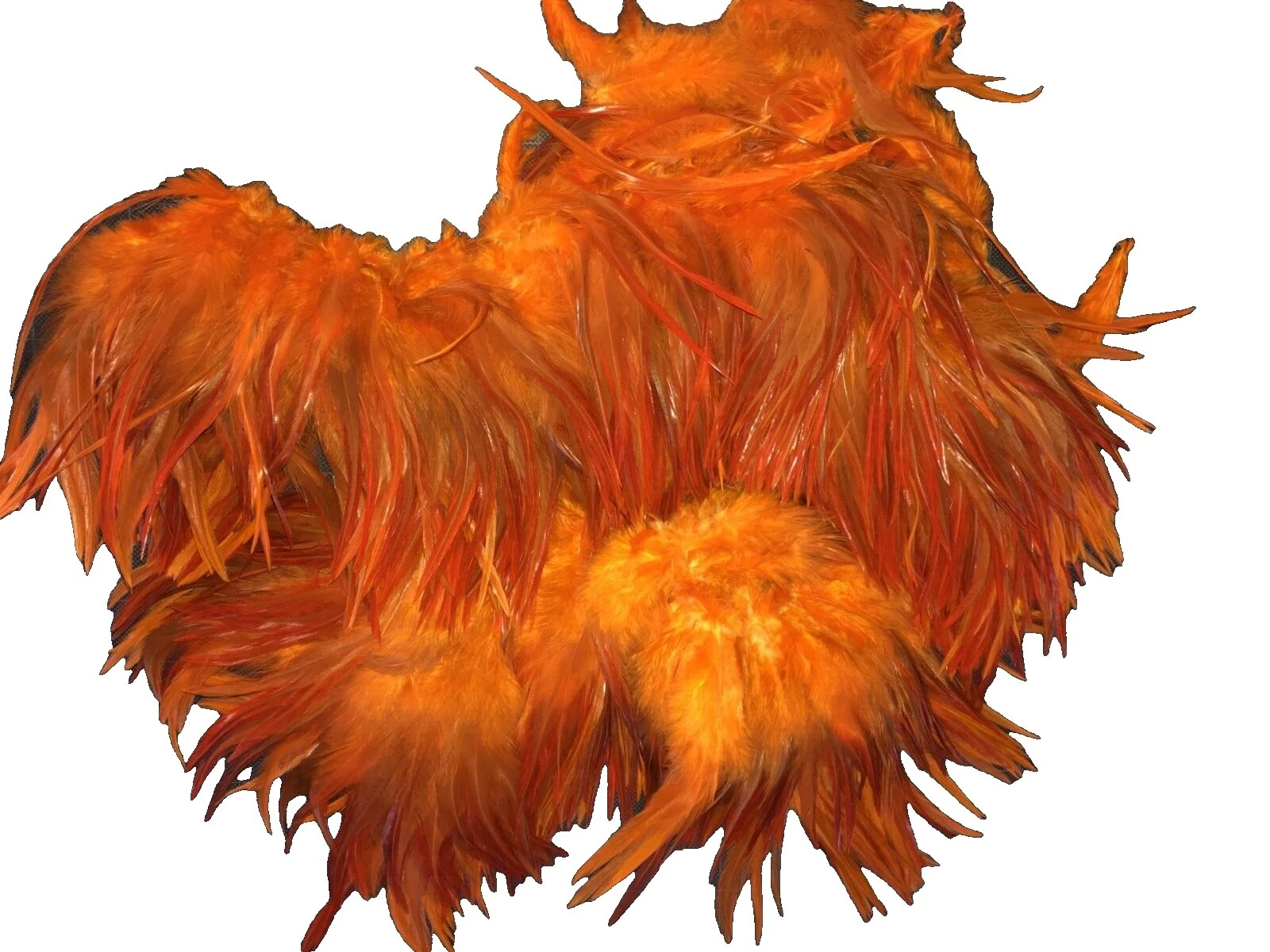 Chicken Craft Feathers