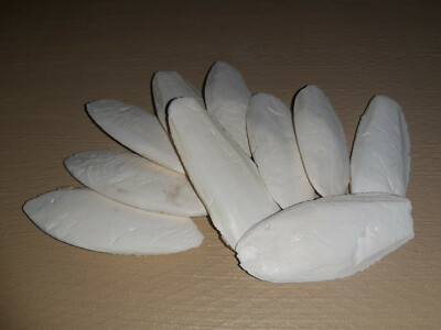 10 Sepiaschalen ( 10 - 12cm / ca. 75 Gramm) - Sepia, Sepiaschale - Vögel