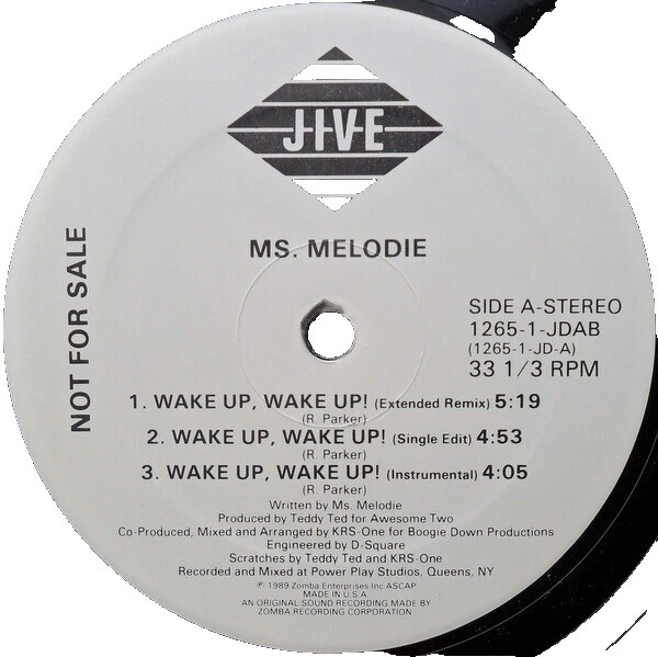 Mint (M) Grading Very Good (VG) Condition Live Vinyl Records