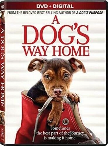 A Dog's Way Home (DVD, 2019) - Picture 1 of 1