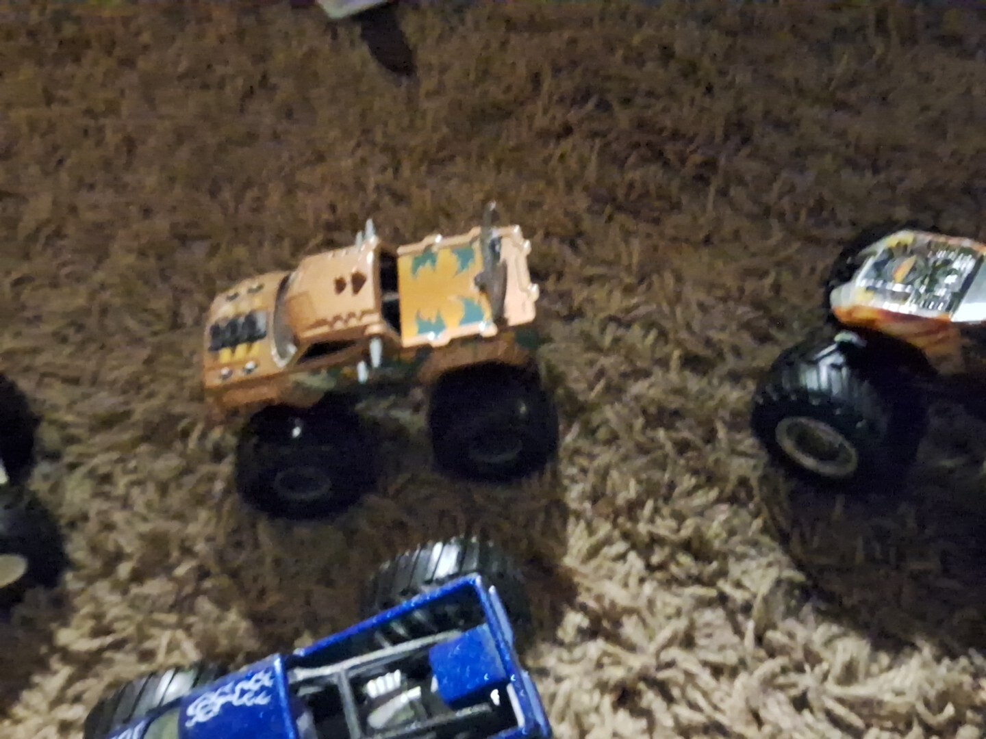Picture 6 of 11