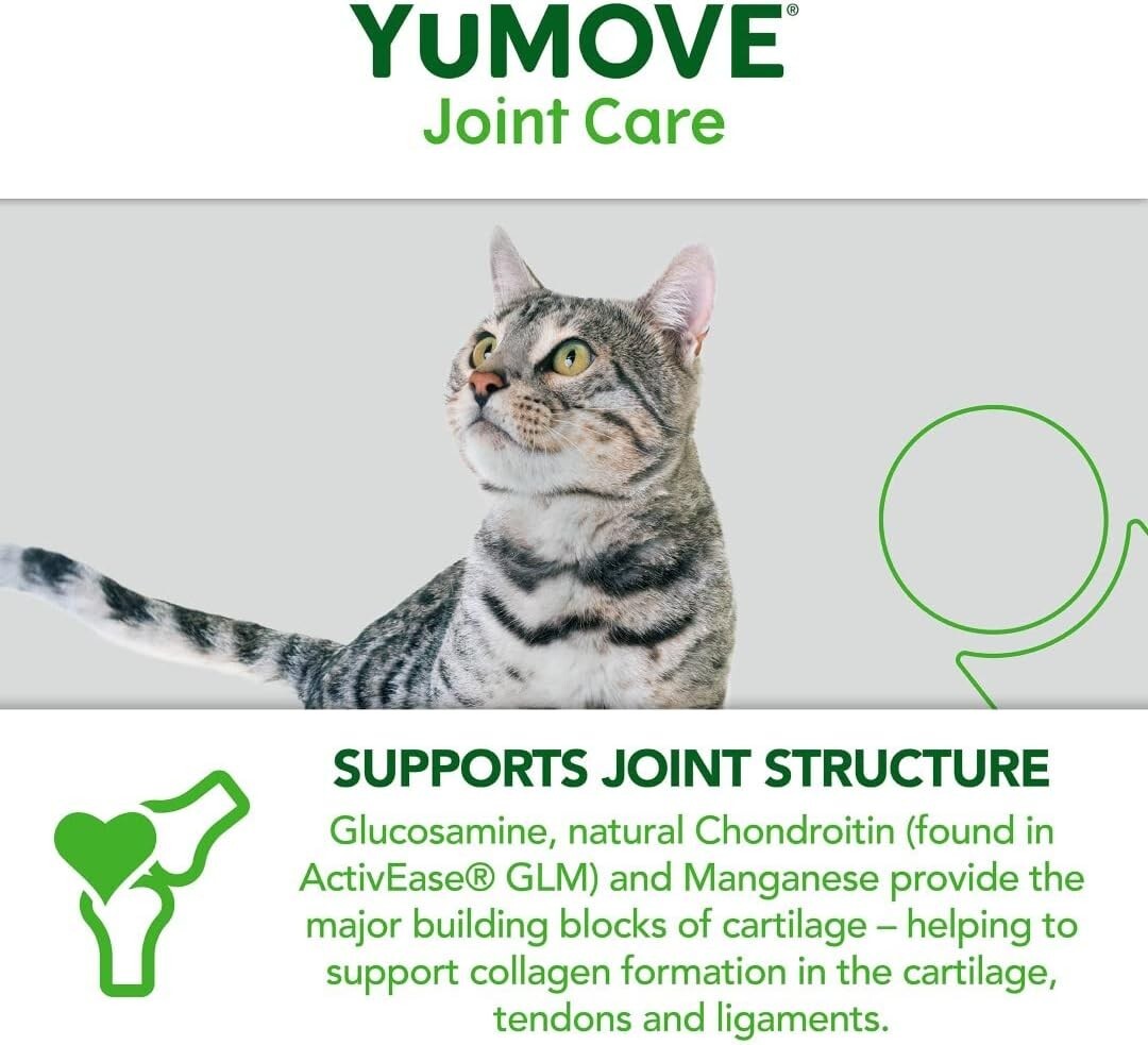 YuMOVE Cat Joint Supplement for Cats 60 Tablets DIRECT FROM YUMOVE eBay