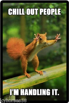 Funny Squirrel Humor I'm Handling It Refrigerator Magnet | eBay