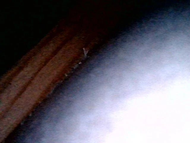 Picture 10 of 10