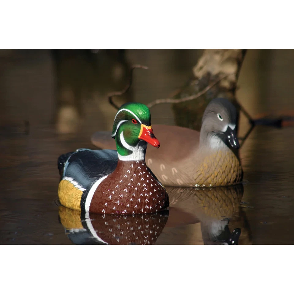 Higdon Standard Wood Duck 6-Pack - Image 3 of 3
