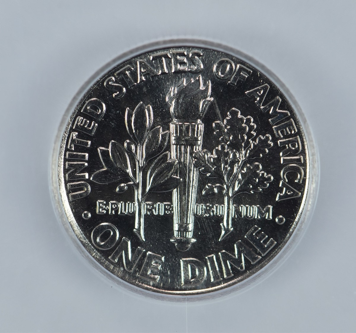 Miioo❤︎ Mimi × Love Puppy – Magicme