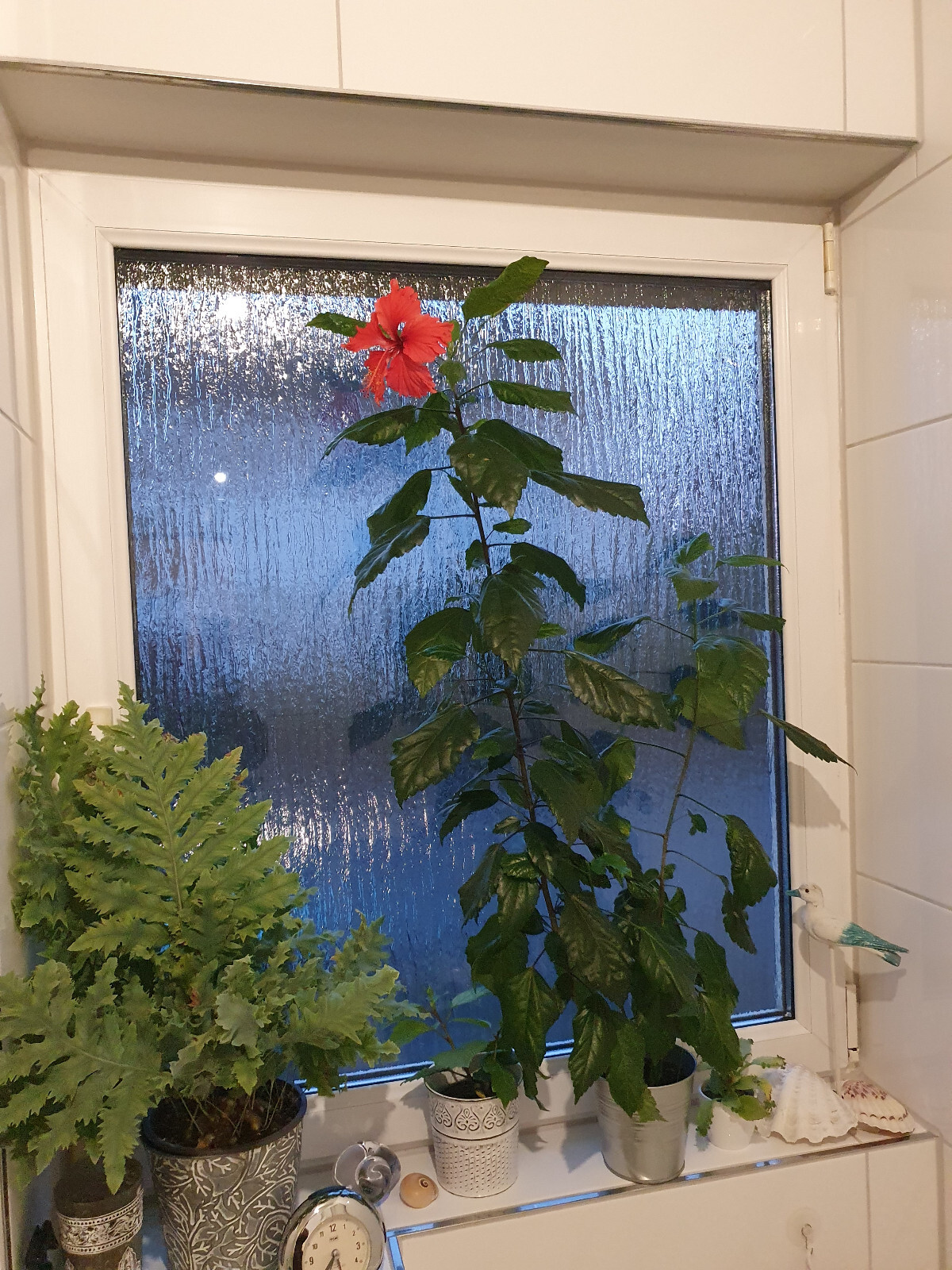 Bild 4 von 7