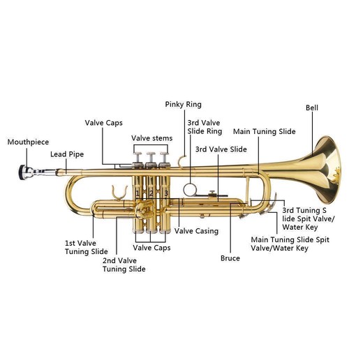 Bb Trumpet for Beginner or Advanced Student with Case, pair of gloves Set - Picture 8 of 50