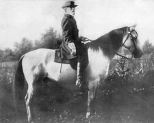 General Robert E. Lee Civil War with Horse Traveller 8 x 10 Photo Photograph
