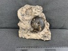 Bild 9 von 9