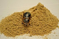 Premium Cricket/Roach Chow High Calcium/Balanced Protein by Five-Star Feeders