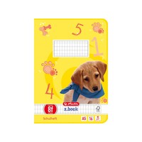 20-60X Herlitz Schulheft X.Book, Din A5, Lineatur 8F / Rautiert Spare Bis Zu 36%