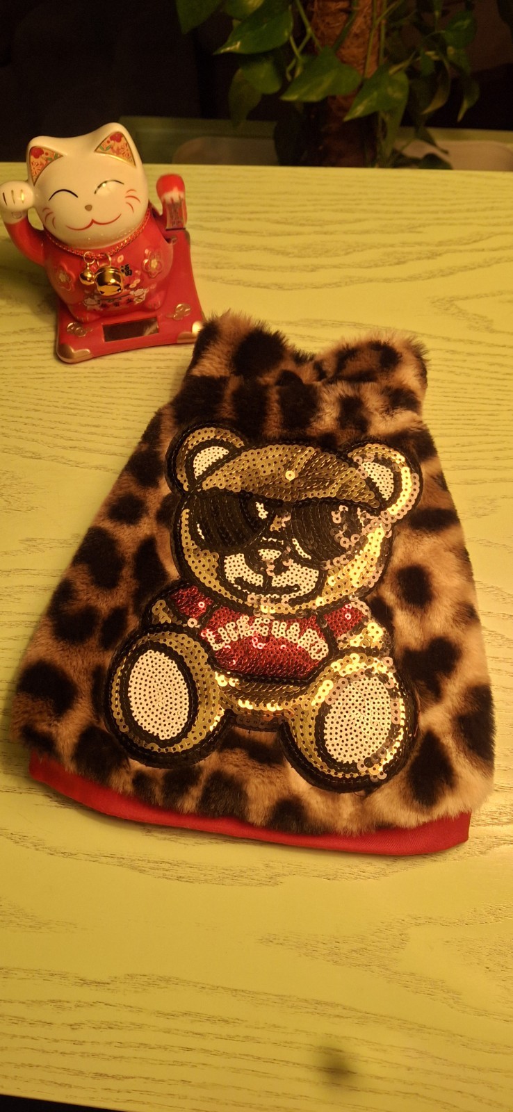 Accessori per cani nuovi foto 5