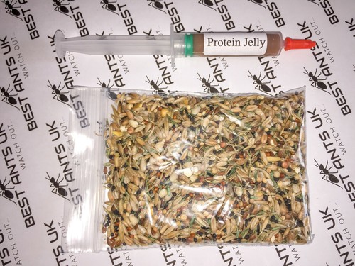 Live Queen Ant Food Jelly Harvester Ants Organic Seeds Mix Protein Best Ants UK - Picture 1 of 15