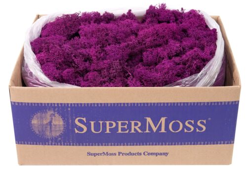 SuperMoss 23169 Reindeer Moss Preserved Fuchsia 3lbs